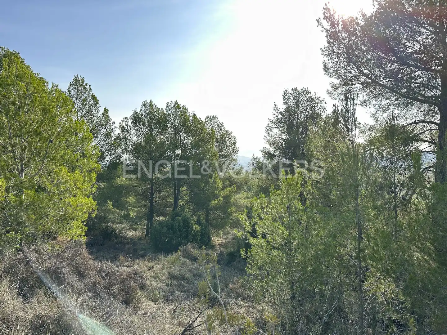 Residential land for sale in Torrelles de Foix, imagen 16