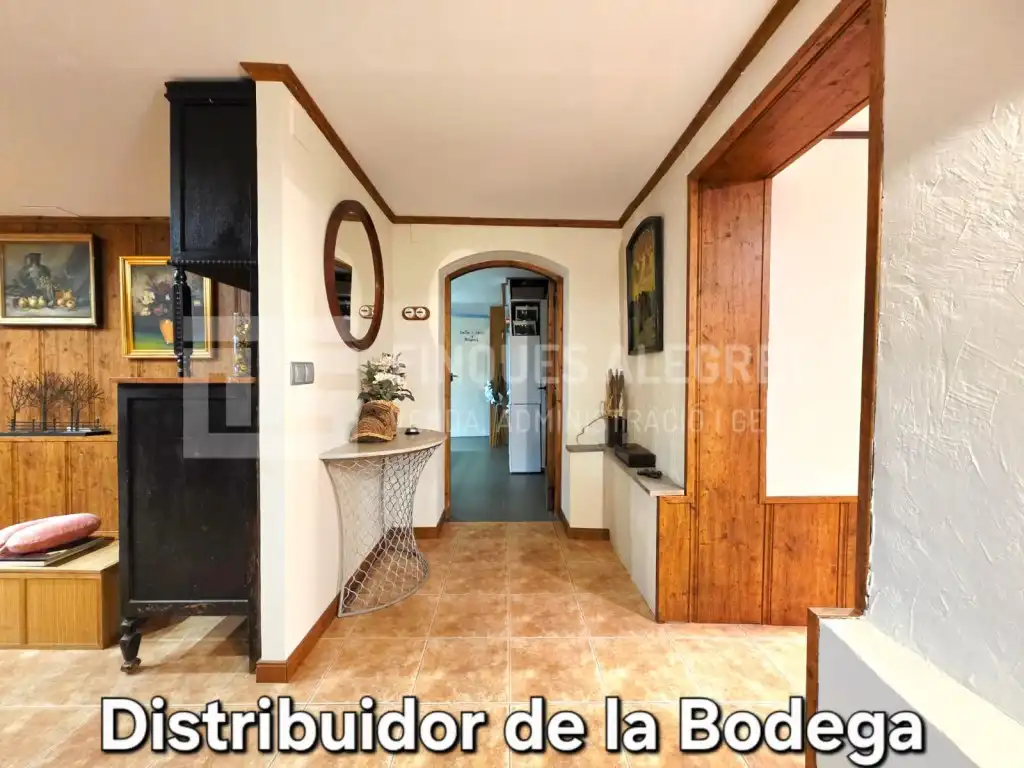 Casa o chalet en venta en Alpicat
