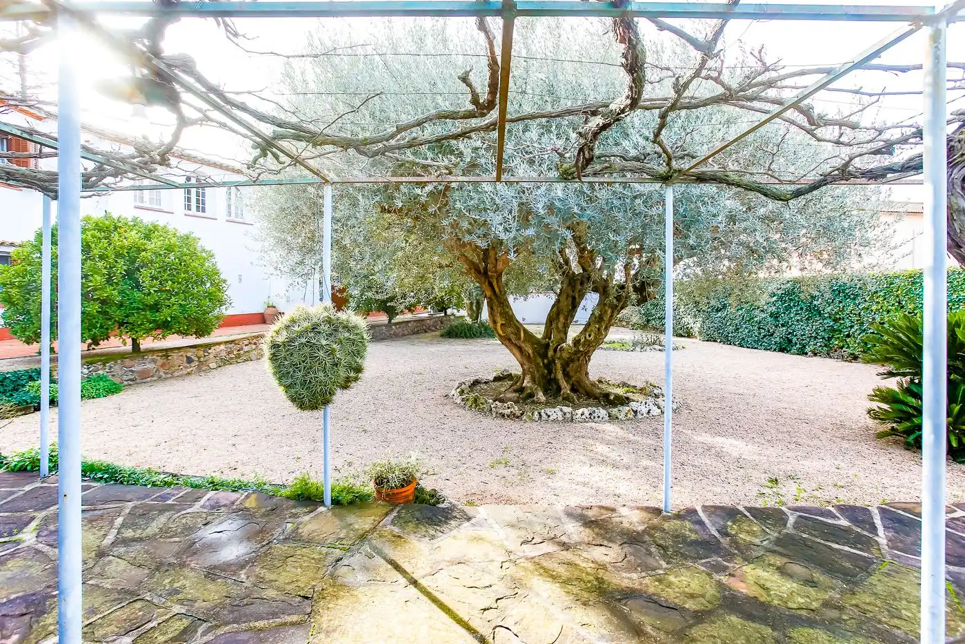 Jardí de Finca rústica en venda en Les Franqueses del Vallès
