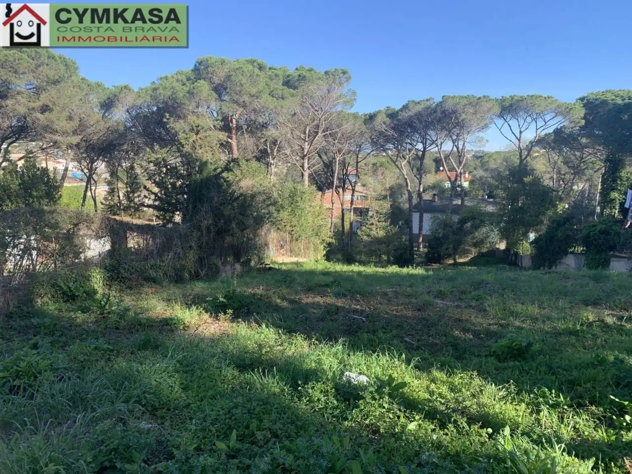 Terreno rustico in vendita a Residencial Park, imagen 3