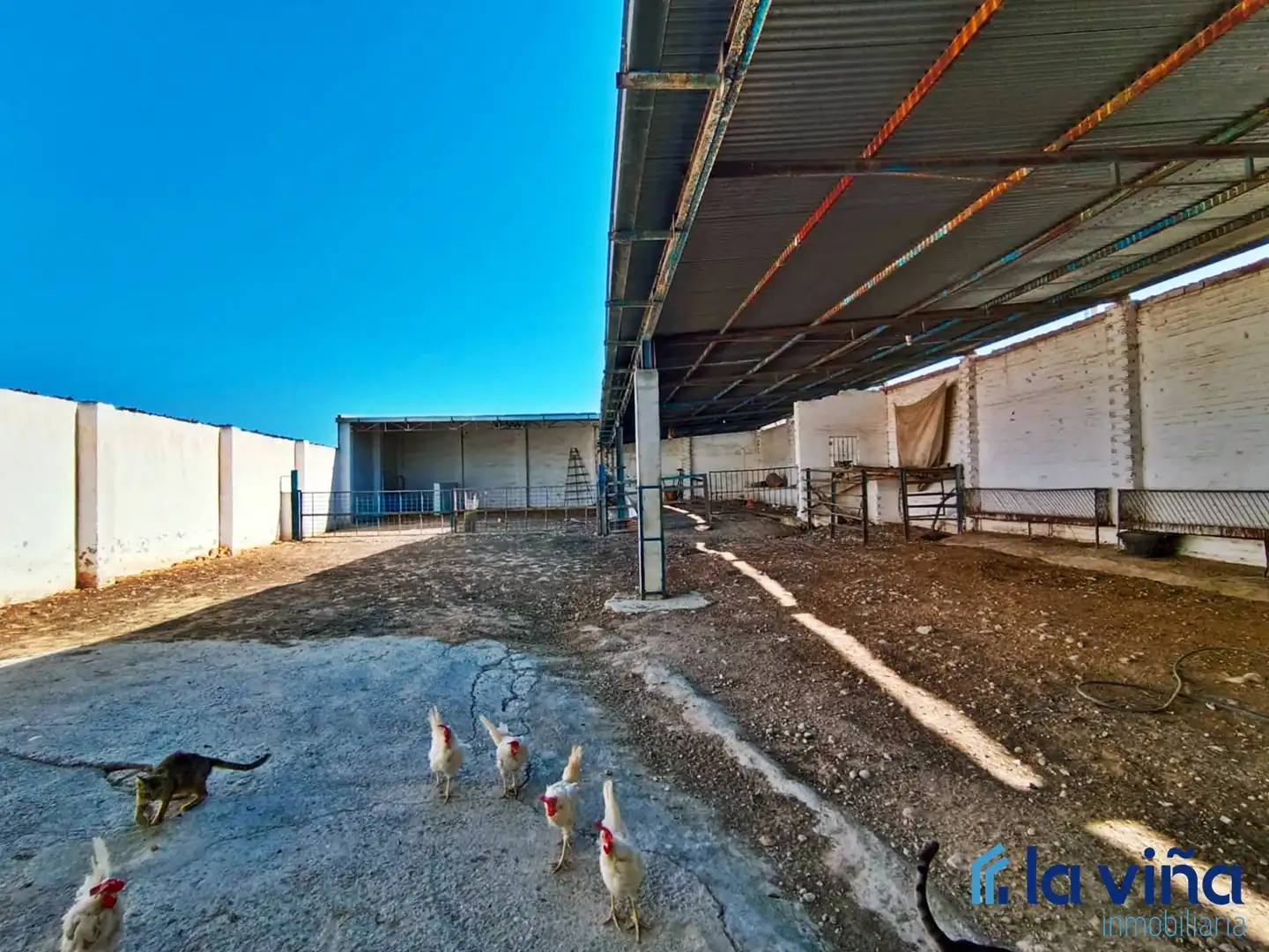 Terrenos y solares en venta en Alameda, imagen 4