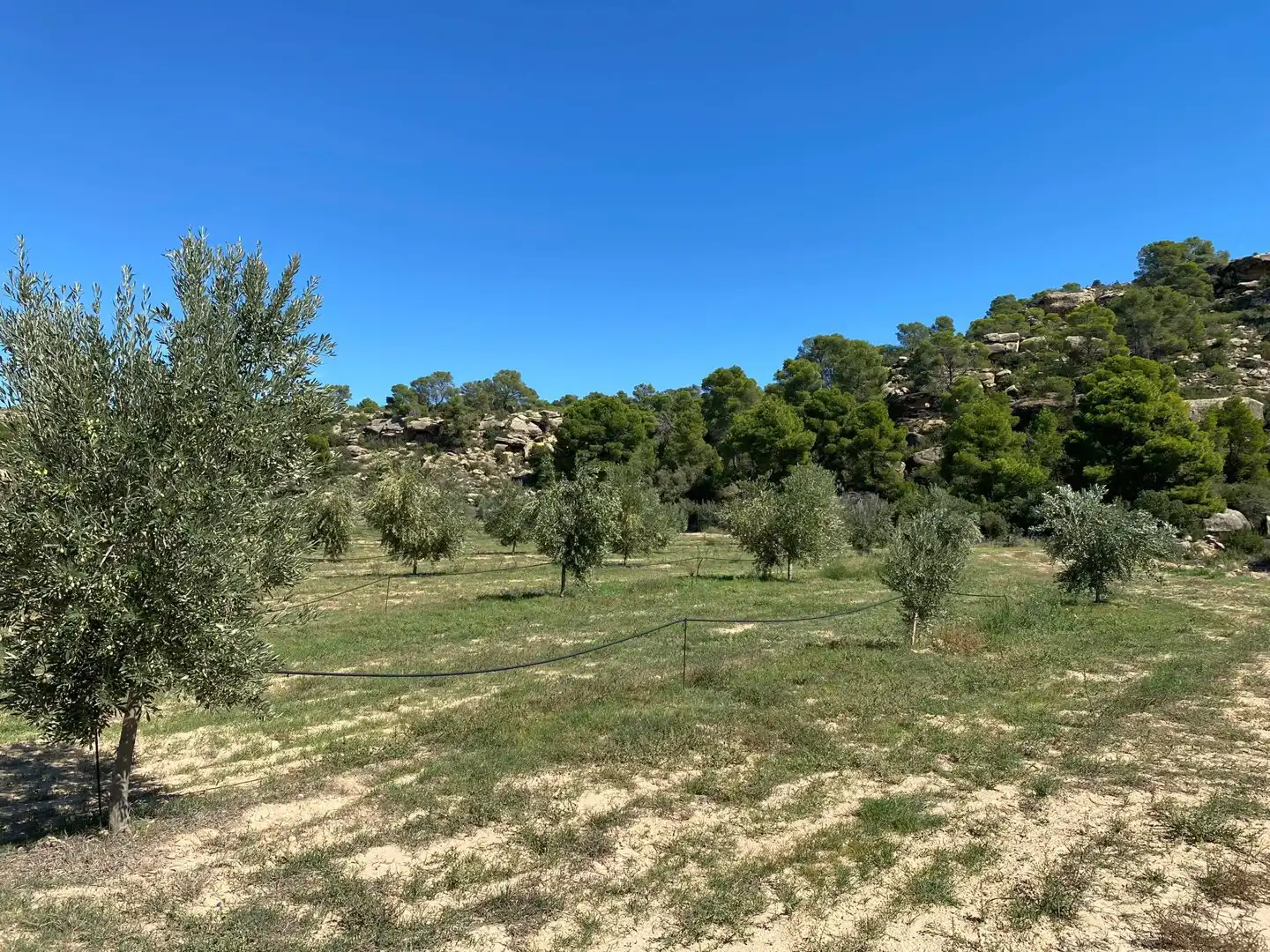 Casa o chalet en venta en Alcañiz con Terraza