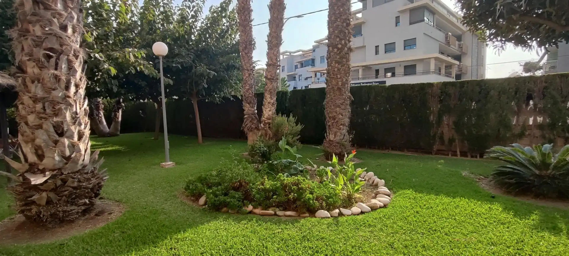 Wohnung mit Pool zur Miete in Playa Muchavista, imagen 2