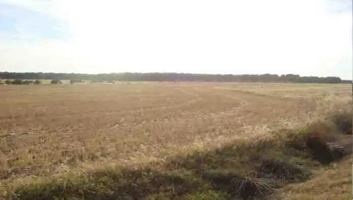 Rustikales Grundstück zum Verkauf in La Zarza (Valladolid), imagen 2