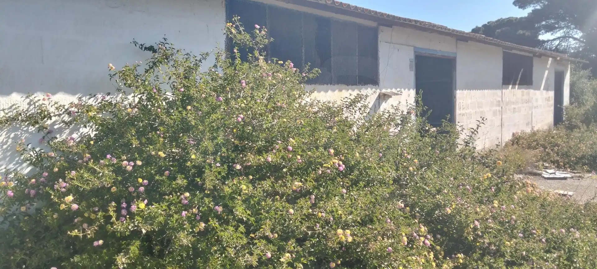 Terreni e lotti in vendita a Los Franceses – La Vega, imagen 22