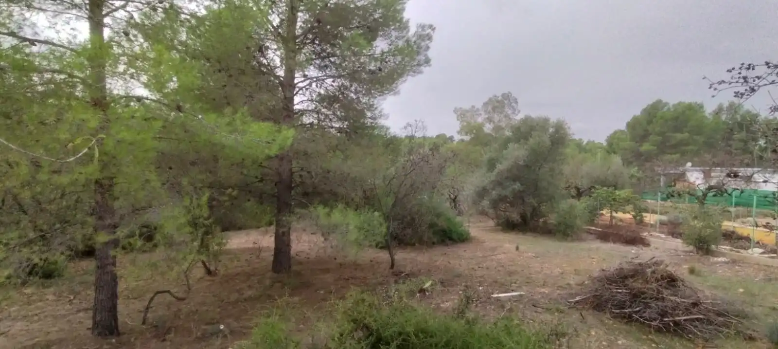 Terreny residencial en venda a Sant Joan de Moró, imagen 9