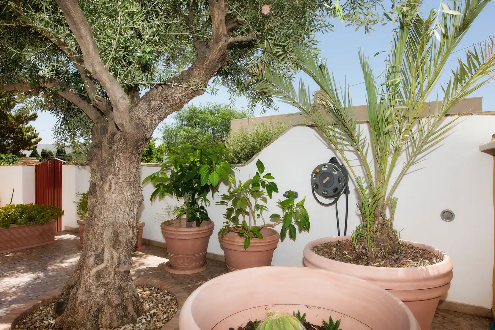 Jardín de Casa o chalet en venta en Carboneras con Aire acondicionado, Calefacción y Jardín privado