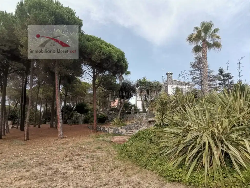 Maison avec piscine à vendre à Condado del Jaruco - Puigventós, imagen 74