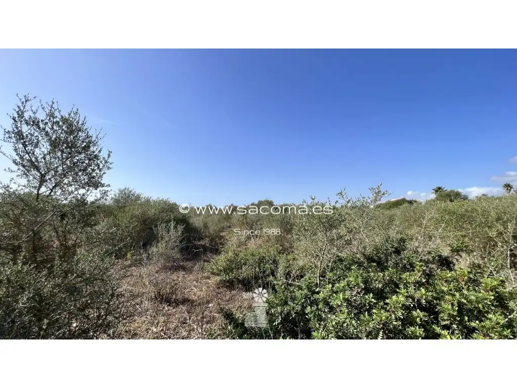 Rural land for sale in Sant Llorenç des Cardassar, imagen 3