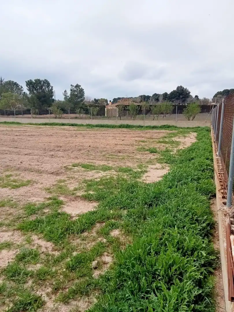 Terreno rustico in vendita a Pedanías - Extrarradio, imagen 4