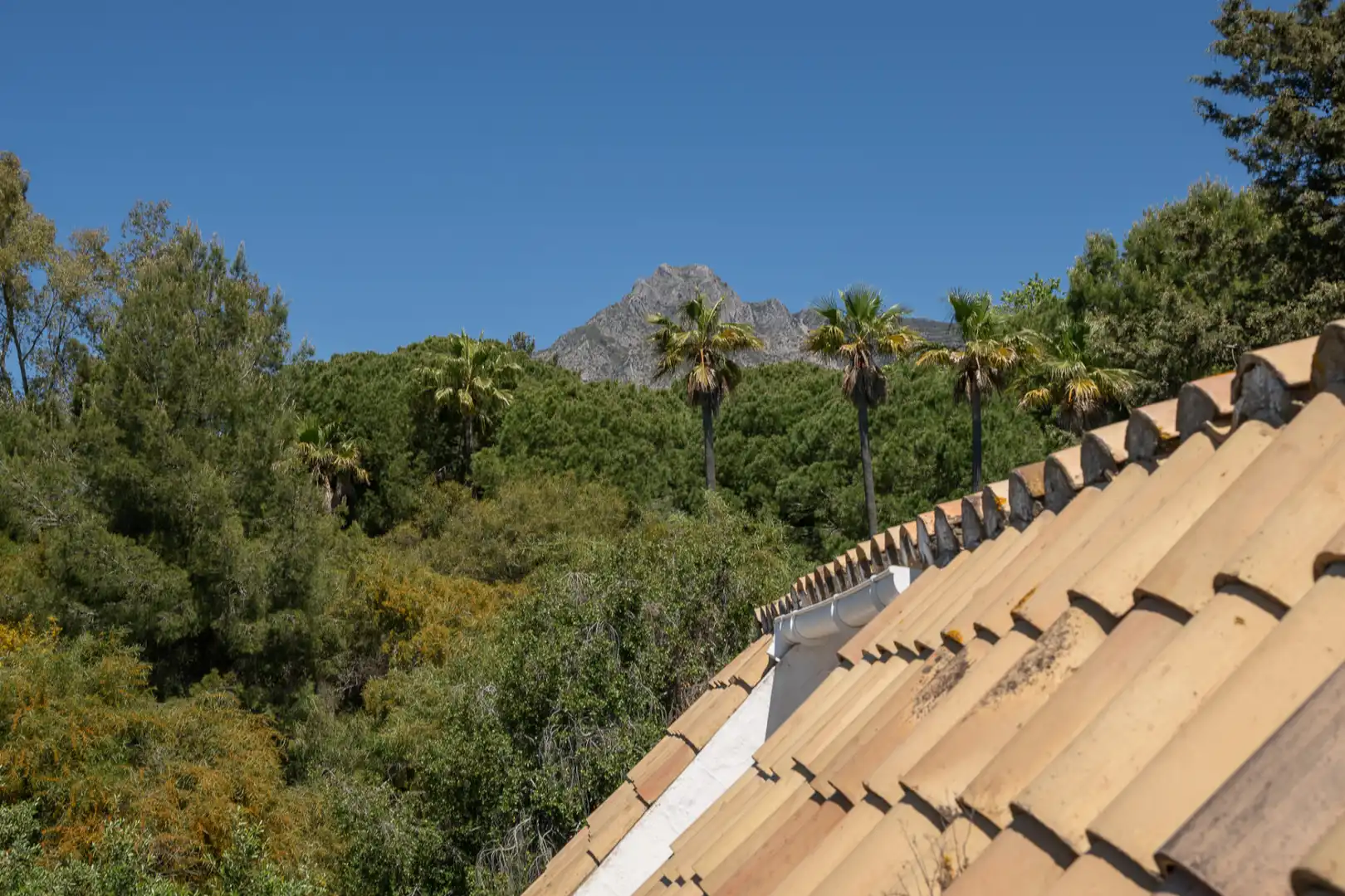 Adossat amb piscina en venda a MARCASITA-ARROYO PIEDRAS, imagen 32
