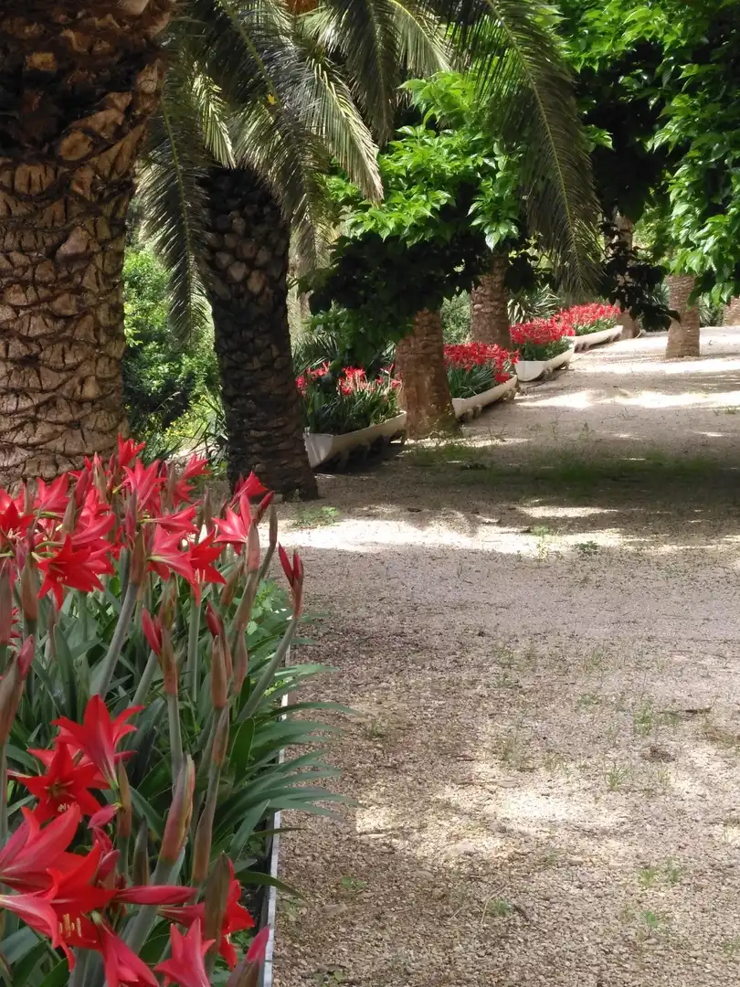 Jardí de Local en venda en Alfara de Carles amb Moblat
