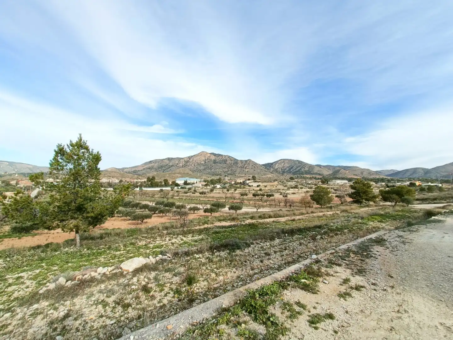 Xalet en venda a Abanilla, imagen 35