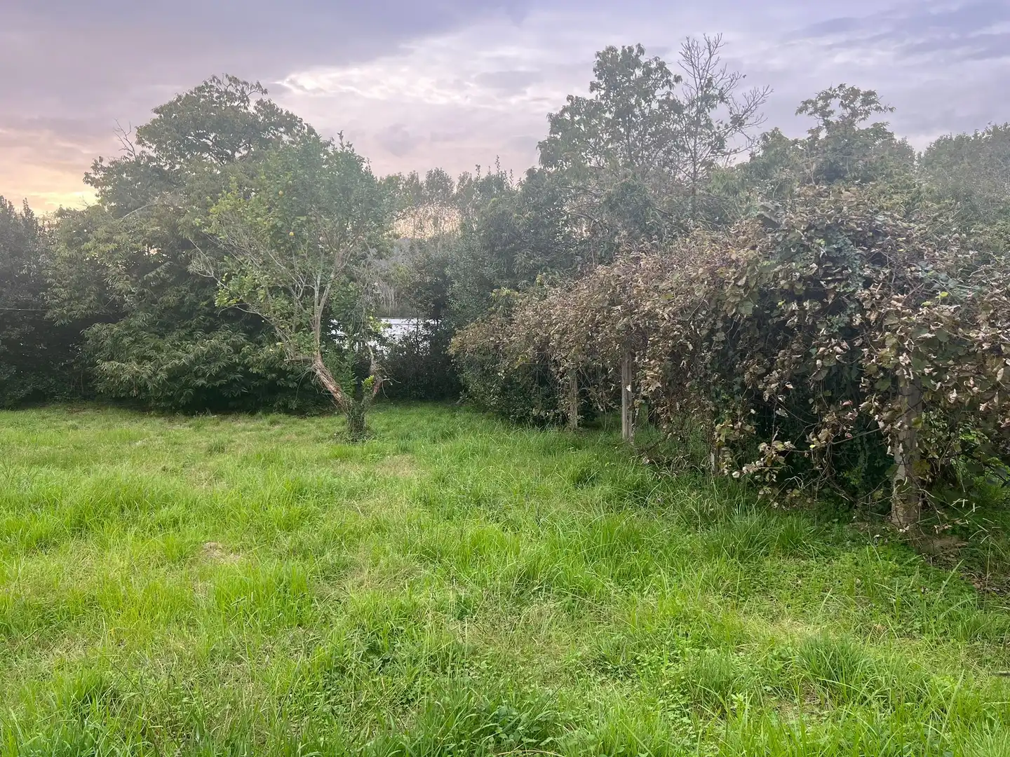 Residencial en venda en Valdoviño