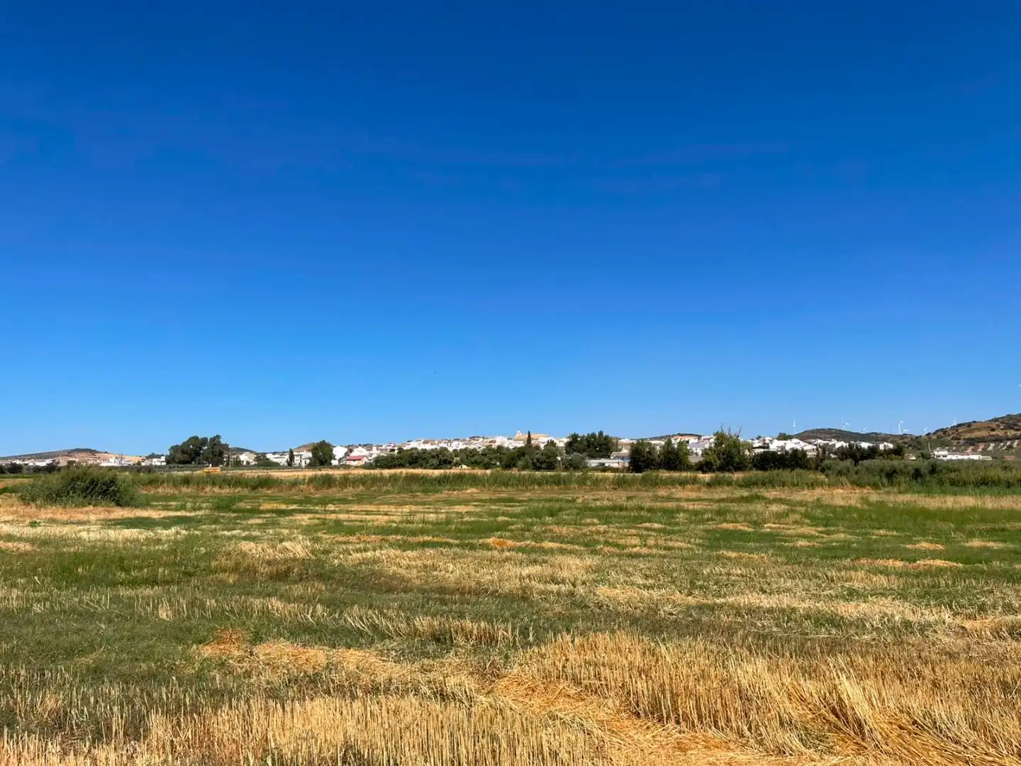 Terreno en venta en Almargen