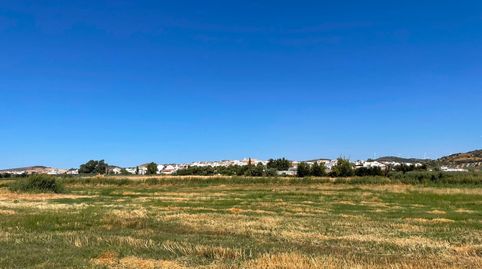 Foto 3 de Terreny en venda a Diseminado Cr Almiron, 22, Almargen, Málaga