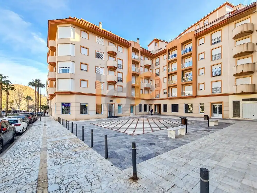 Business premises for sale in Macael