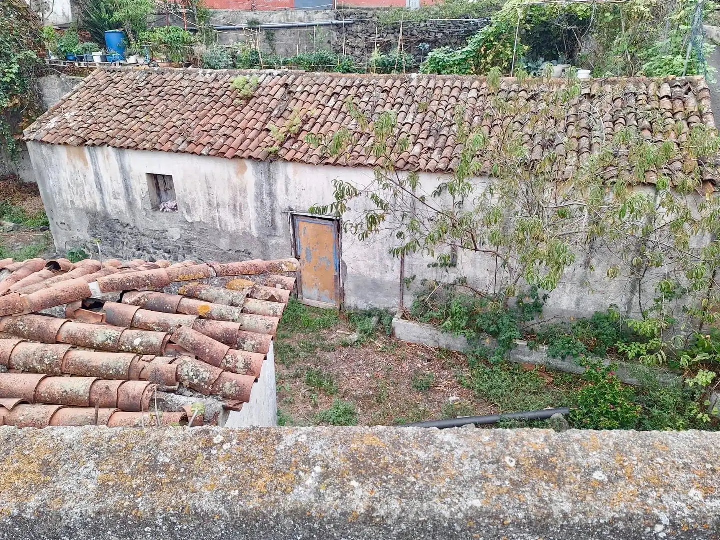 Finca rústica en venda en Icod de los Vinos