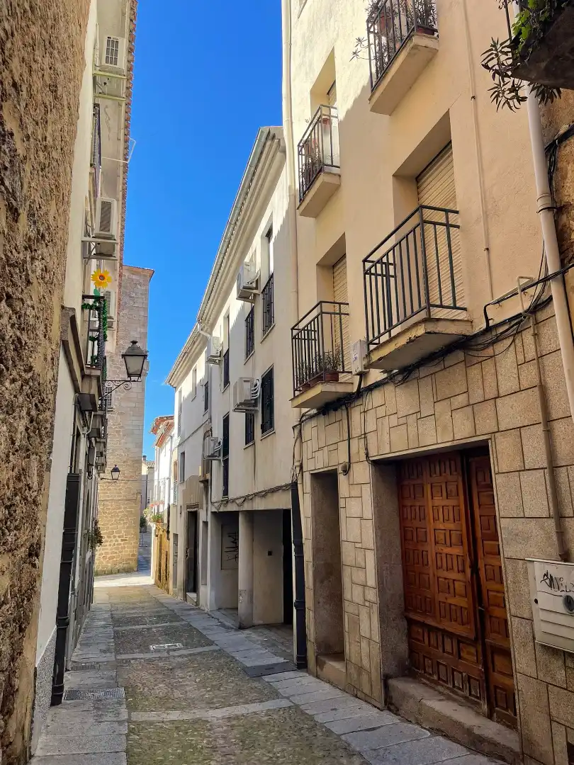 Exterior view of Buildings for sale in Plasencia