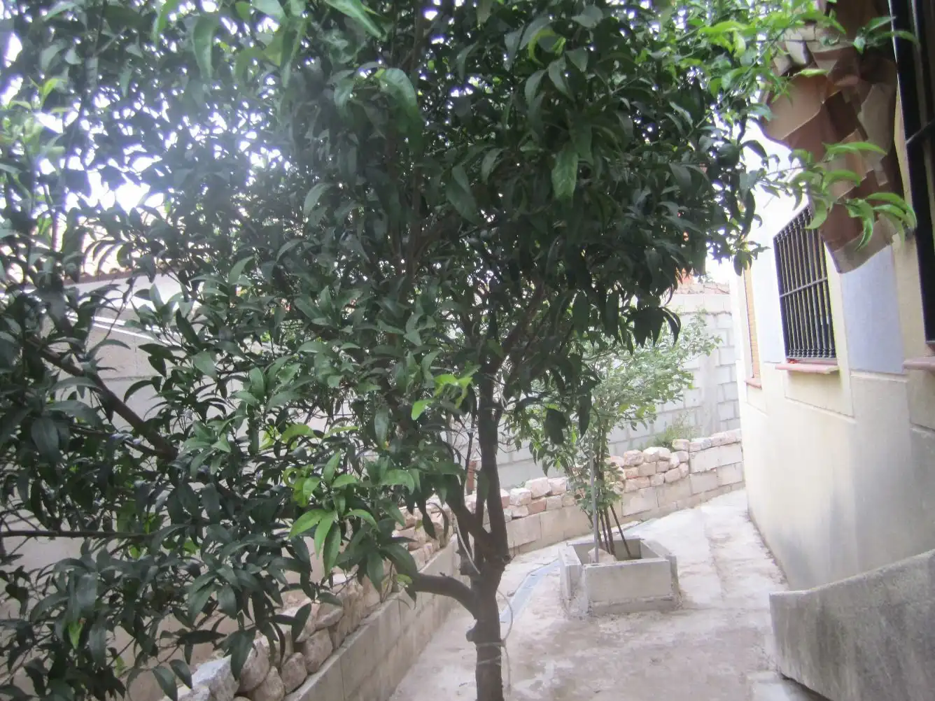 Garden of Flat for sale in Córdoba  with Storage room