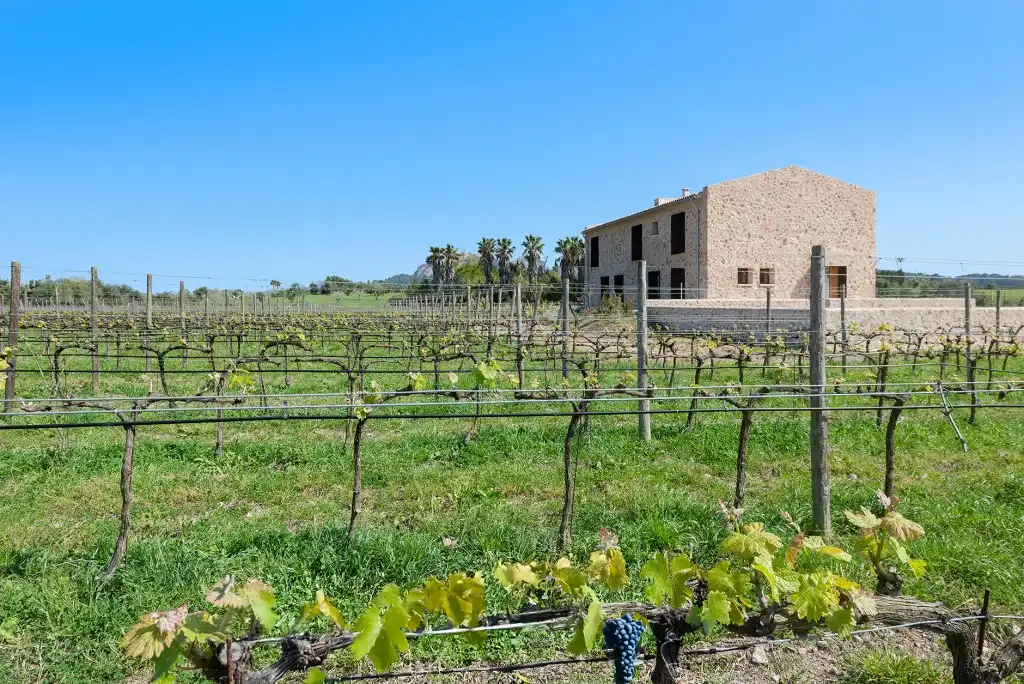 Casa rústica con piscina en venta en Pollença Poble, imagen 28