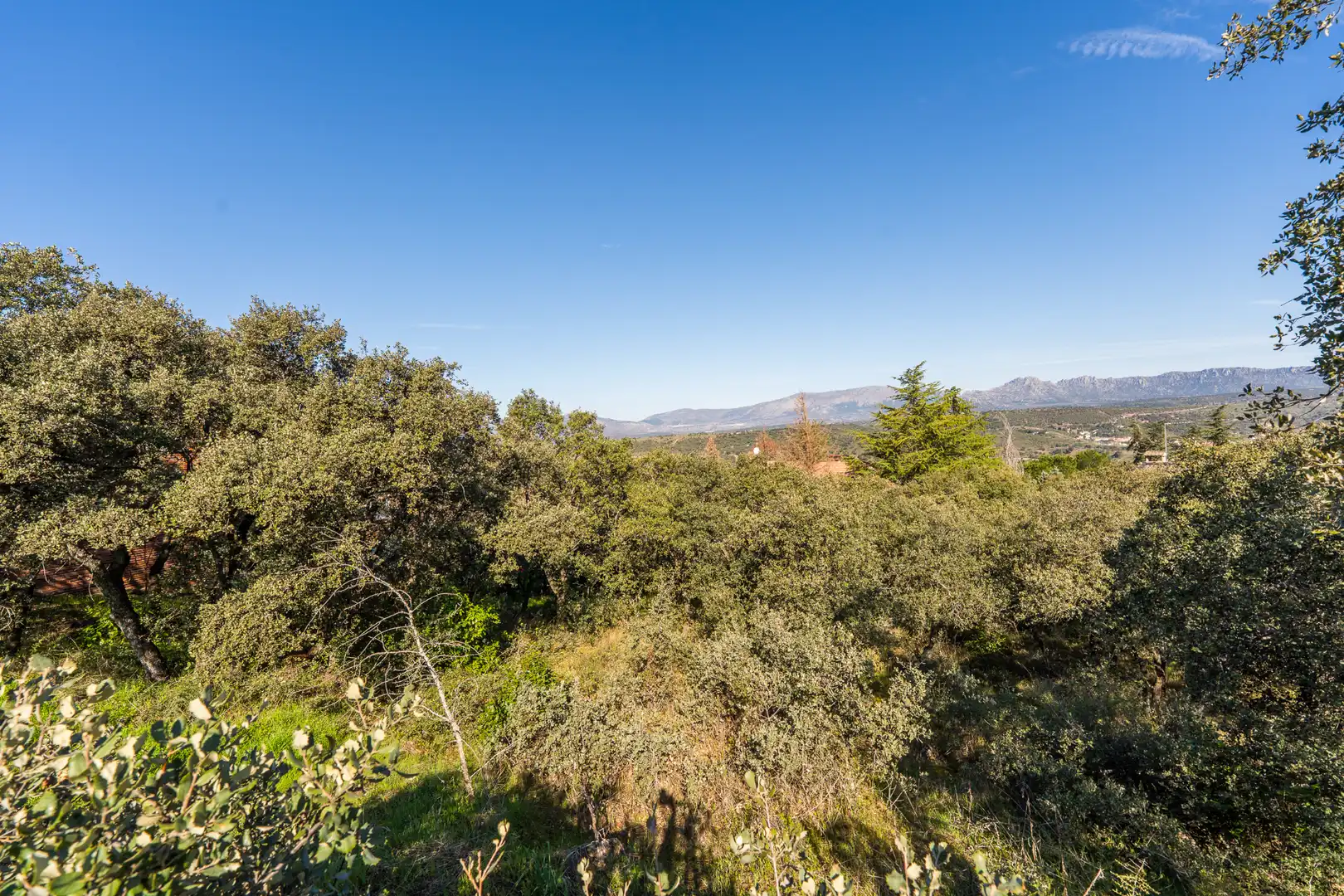 Residencial en venta en Venturada