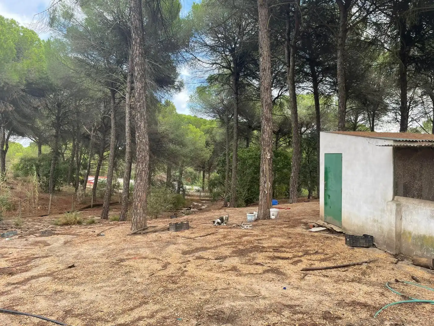 Casa en venda a Beas, imagen 24