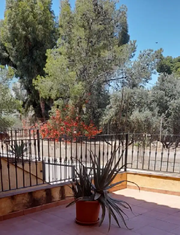 Vista exterior de Dúplex en venda en Orihuela amb Aire condicionat