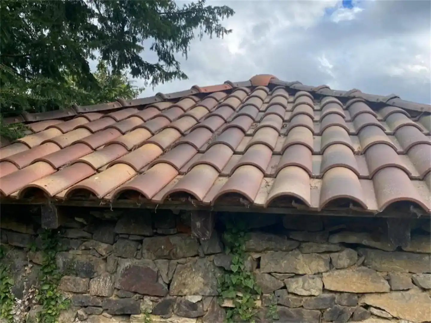 Vista exterior de Finca rústica en venta en Belmonte de Miranda, Asturias