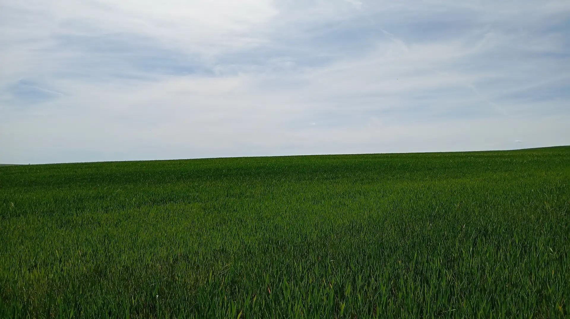 Land for sale in Calle Iglesia, Cantaracillo