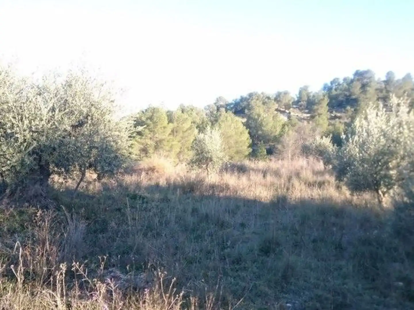 Terreni e lotti in vendita a Moratalla, imagen 11
