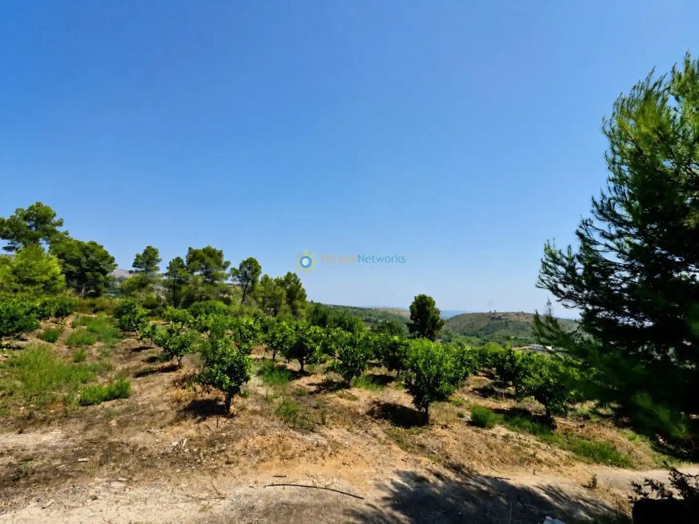 Finca rústica en venda en Sellent amb Terrassa, Traster i Piscina