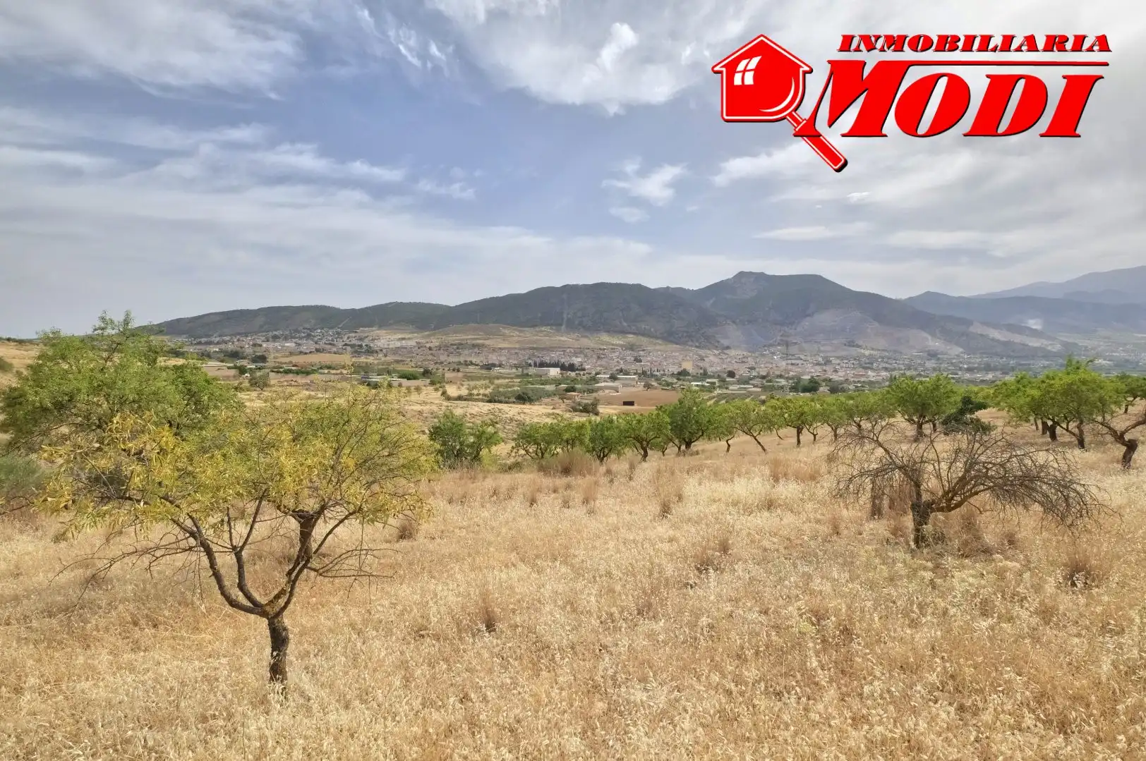 Terreni e lotti in vendita a Padul, imagen 24
