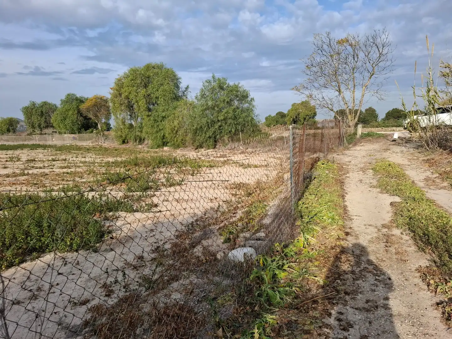 Terreno en venta en Guardamar del Segura