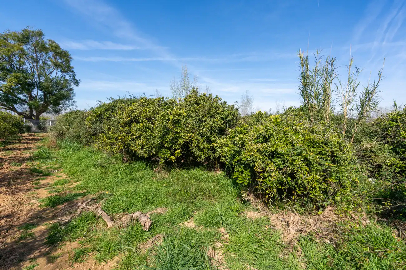 Rural land for sale in Vinallop, imagen 12