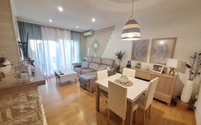 Living room of Flat for sale in Sant Esteve Sesrovires  with Air Conditioner, Heating and Parquet flooring