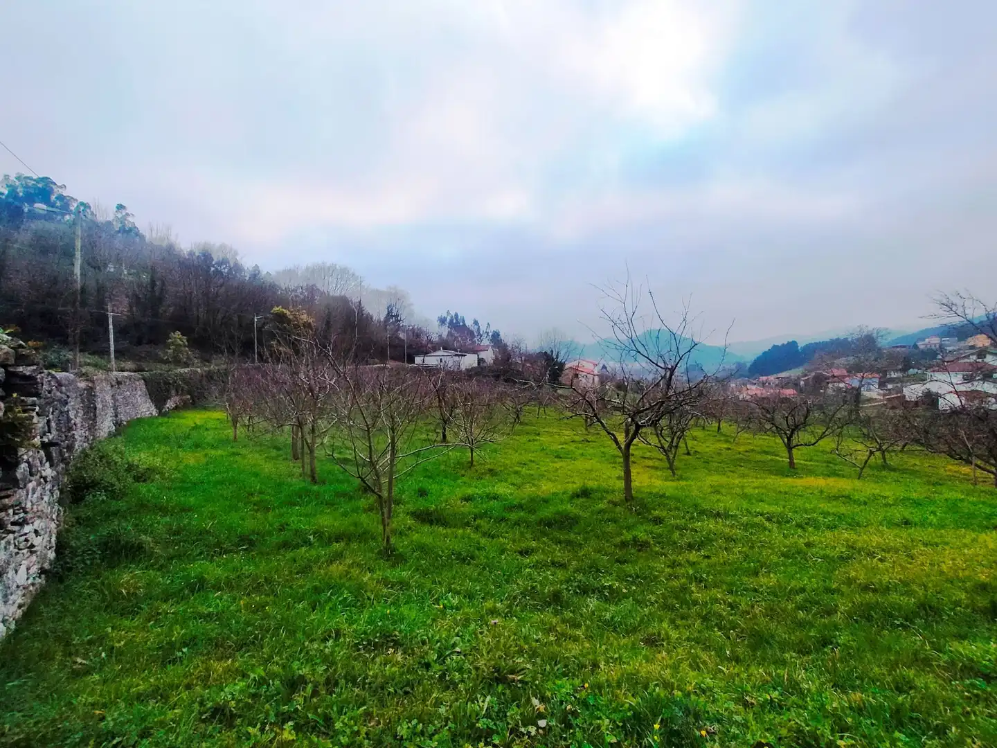Terreni e lotti in vendita a Pravia, imagen 3