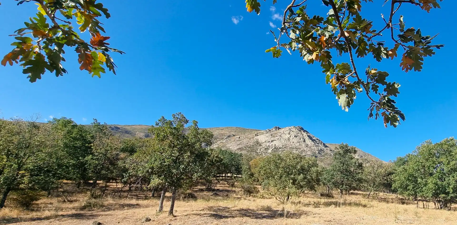 Terreno rustico in vendita a Carretera de Valdemanco 33, imagen 16