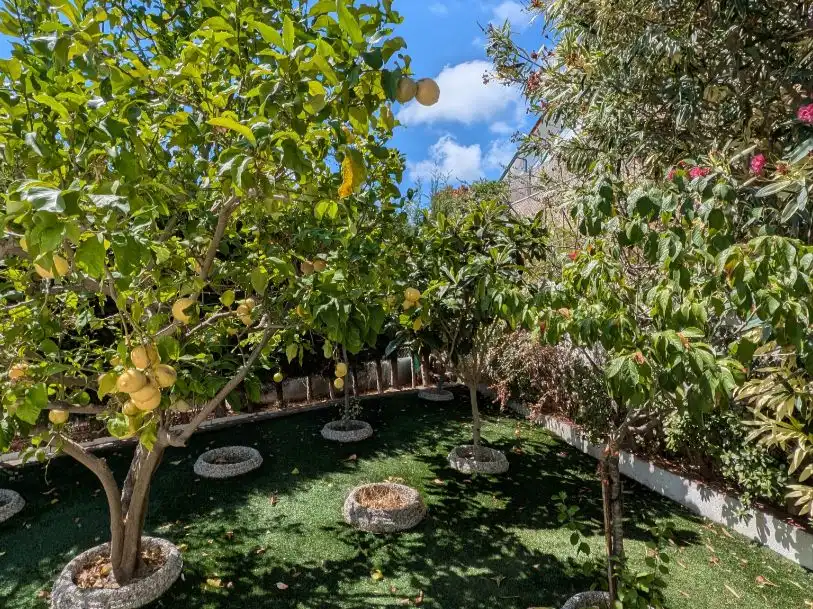 Casa amb jardí en venda a Carrer Ronda de Garbi 26, imagen 33