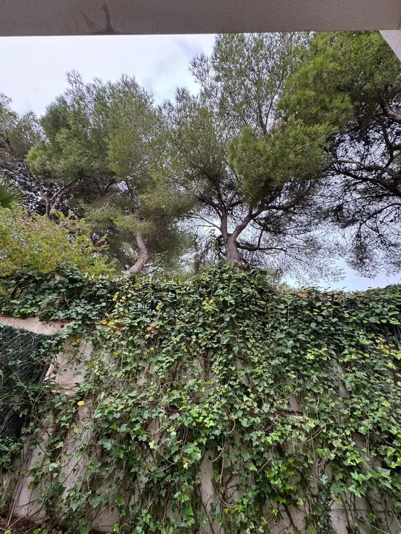 Terraced house with terrace for sale in Calle de la Mar Rizada, imagen 8