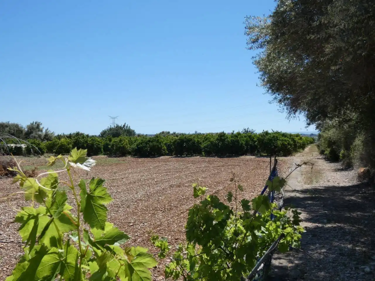 Casa o xalet en venda en Benicarló amb Terrassa i Moblat
