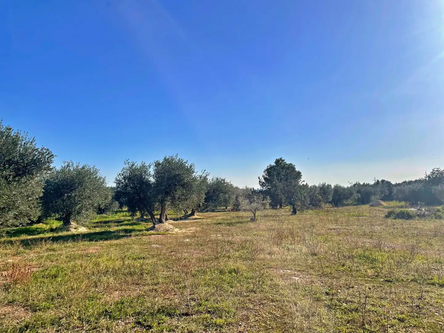 Terrain rustique à vendre à Aldover, imagen 37