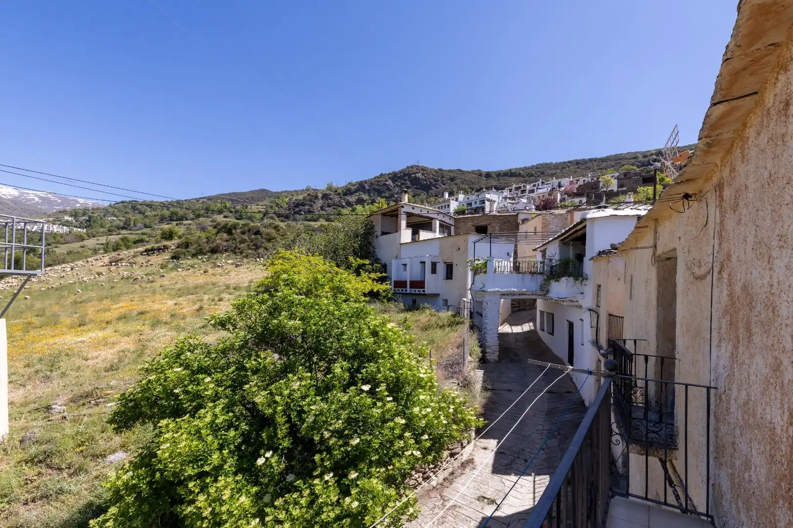 Vista exterior de Casa o chalet en venta en Bubión con Trastero y Balcón