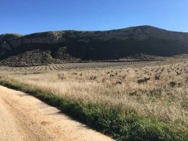 Rural land for sale in Calle San Sebastián, imagen 5