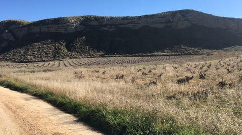 Photo 5 of Land for sale in Calle San Sebastián, Casco Antiguo Sur, Ciempozuelos