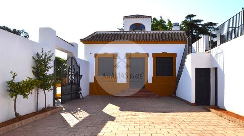 Foto 3 de Casa o chalet en venta en Carretera Olivares, 1, Sanlúcar la Mayor, Sevilla