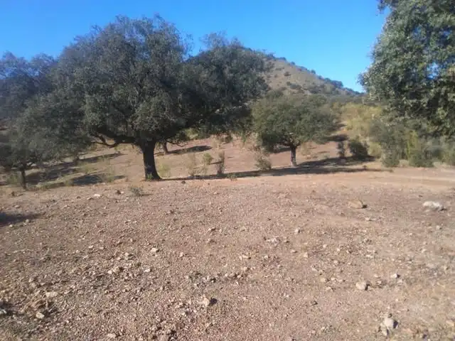 Residential land for sale in Espiel, imagen 5