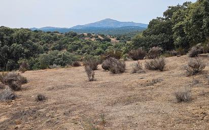 Casa o xalet en venda en Pedrezuela amb Terrassa