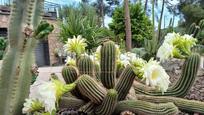 Jardí de Casa o xalet en venda en Bigues i Riells amb Aire condicionat, Calefacció i Jardí privat