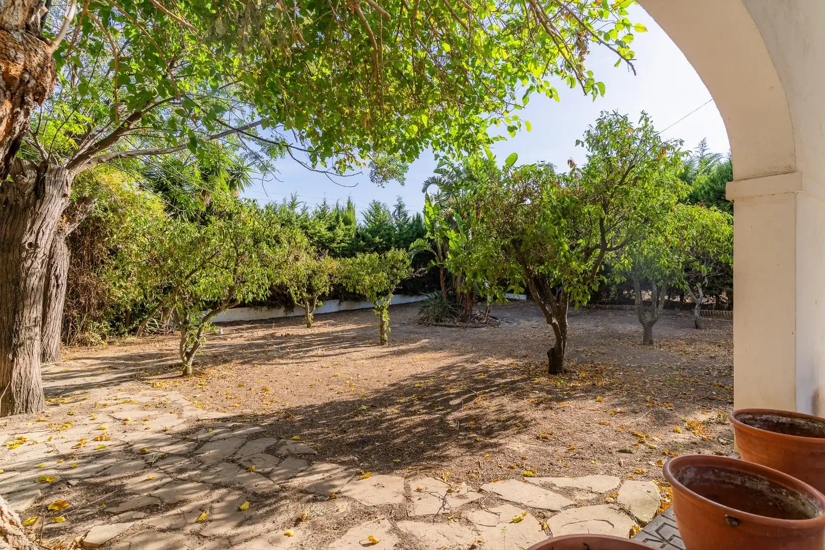 Maison à vendre à Ctra Sanlúcar - Cuatro Pinos, imagen 14